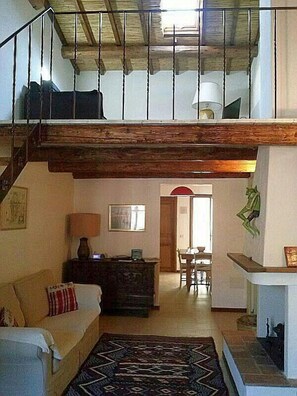 Una televisión, una chimenea, un reproductor de DVD, libros