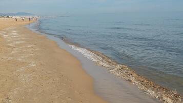 Playa en los alrededores y camastros