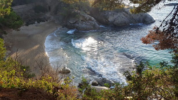 A coastal landscape with a sandy beach, rocky outcrops, and dense greenery. - CALA DEL PI RESIDENTIAL APARTMENT (TREUMAL CENTER) PLATJA D¨ARO (Platja D Aro)
