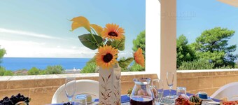 Corbezzolo vista mare