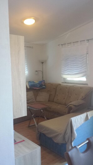 TV, video games, DVD player, video library
