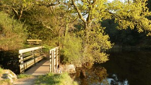 A wooden bridge over a calm river, surrounded by trees and grassy banks. - DOËLAN, Villa ***** 12 p, heated indoor pool, spa, sauna, billiards (Clohars-Carnoët)