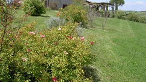A stone house with a tiled roof, surrounded by a grassy area and flowering bushes.