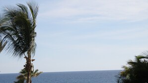 A beach view with a palm tree, a thatched hut, and pink flowering bushes. - Oceanfront Resort Beach Paradise! Great Reviews,  Modern Remodel great location! (San Jose Del Cabo)
