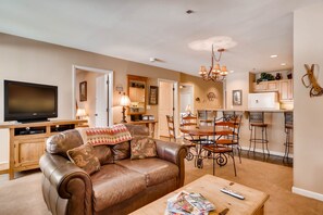 Smart TV, fireplace, DVD player, books