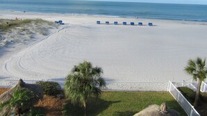 Ein Strand mit einer Reihe blauer Liegen, einem eingezäunten Bereich und einer Palme.