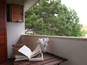 Double Room, Terrace | Balcony