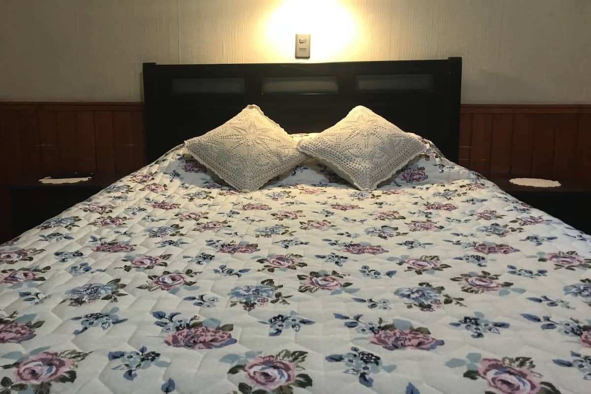 Habitación doble, 1 cama matrimonial | Tabla de planchar con plancha y wifi gratis