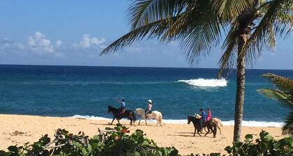 Paraíso frente al mar con impresionantes vistas al mar! acceso privado a la playa. Wifi