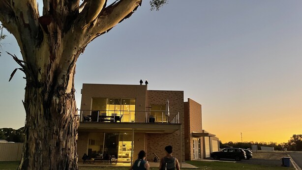 A modern two-story house with a balcony, large windows, and a tree in the foreground.