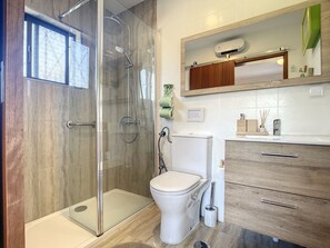 Combined shower/bathtub, hair dryer, towels, soap