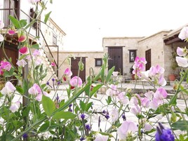 Un patio con plantas florecientes y un edificio de piedra con puerta de madera.