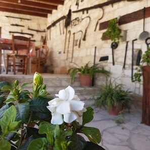 Appartamento Deluxe | Vista cortile