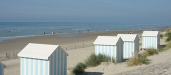 cottage in the heart of the pines for 2/4 people 