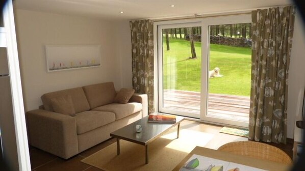 Televisio, DVD-soitin, videokirjasto