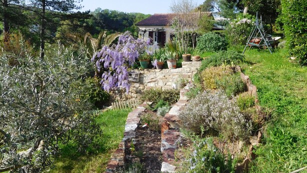 Un jardin avec un chemin de pierres, différentes plantes et une balançoire.
