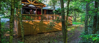 The Big Little Cabin-Hot Tub/Playset/7 Acres/Creek/Pet-Friendly!