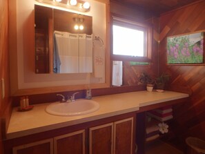 Hair dryer, towels - This lovely π Alaskan serenity home π‘ is a perfect π getaway to enjoy π (Kenai)