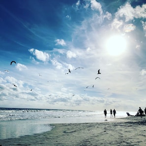 Playa en los alrededores, camastros y toallas de playa 