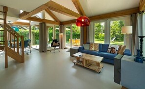 Télévision, cheminée, chaîne hi-fi