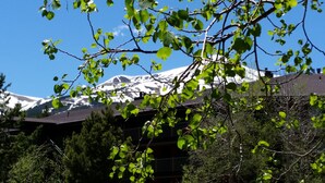 A building with a snow-capped mountain in the background.