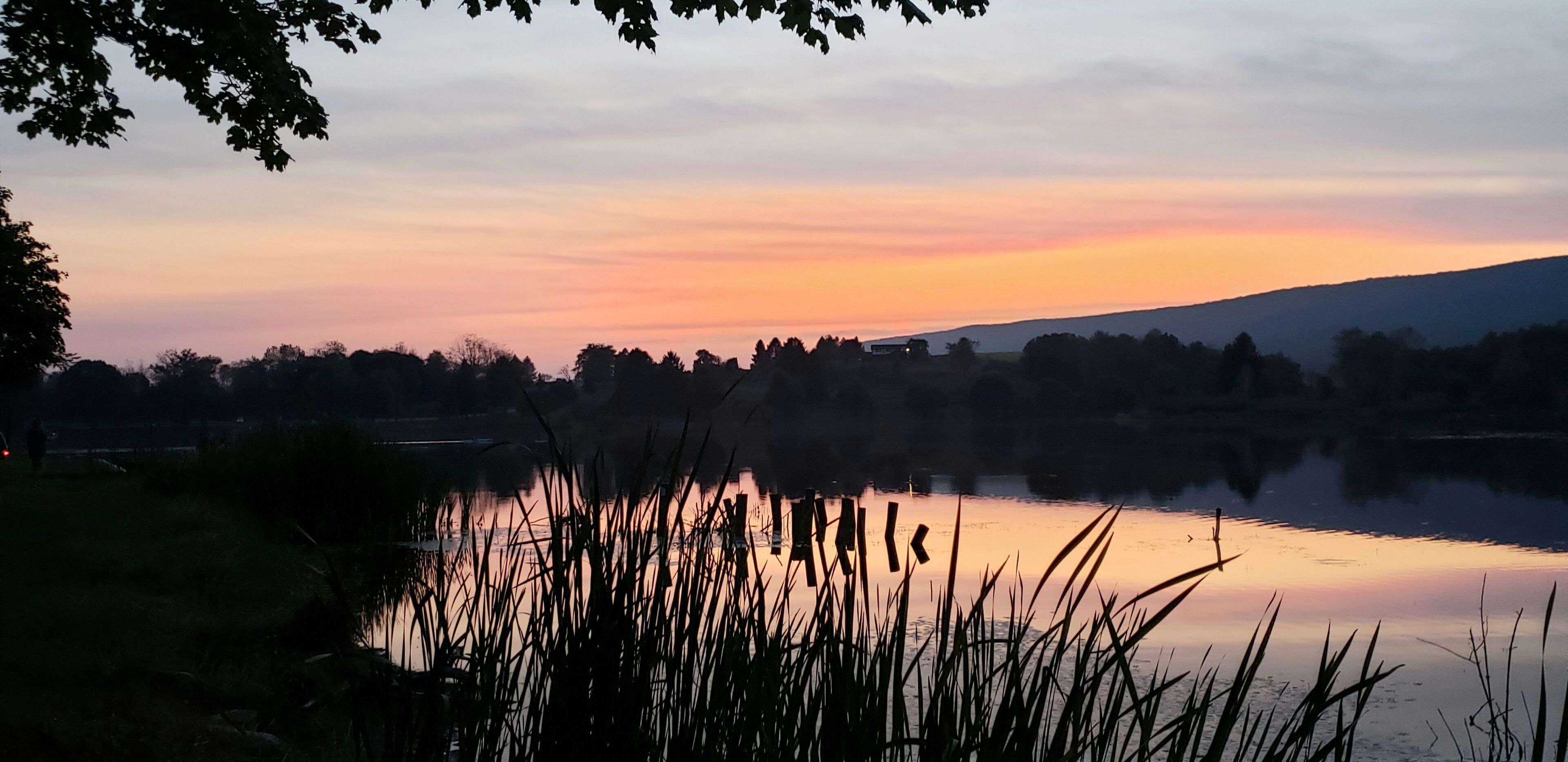 Een rustig uitzicht over een meer bij zonsondergang, met kalm water en omliggende bomen.