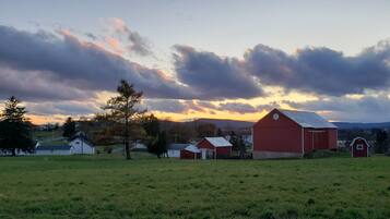 A rural landscape with a red barn and several smaller buildings, surrounded by open fields and trees, under a cloudy sky.