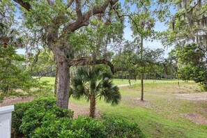 A tree-lined pathway with a palm tree and a birdhouse.