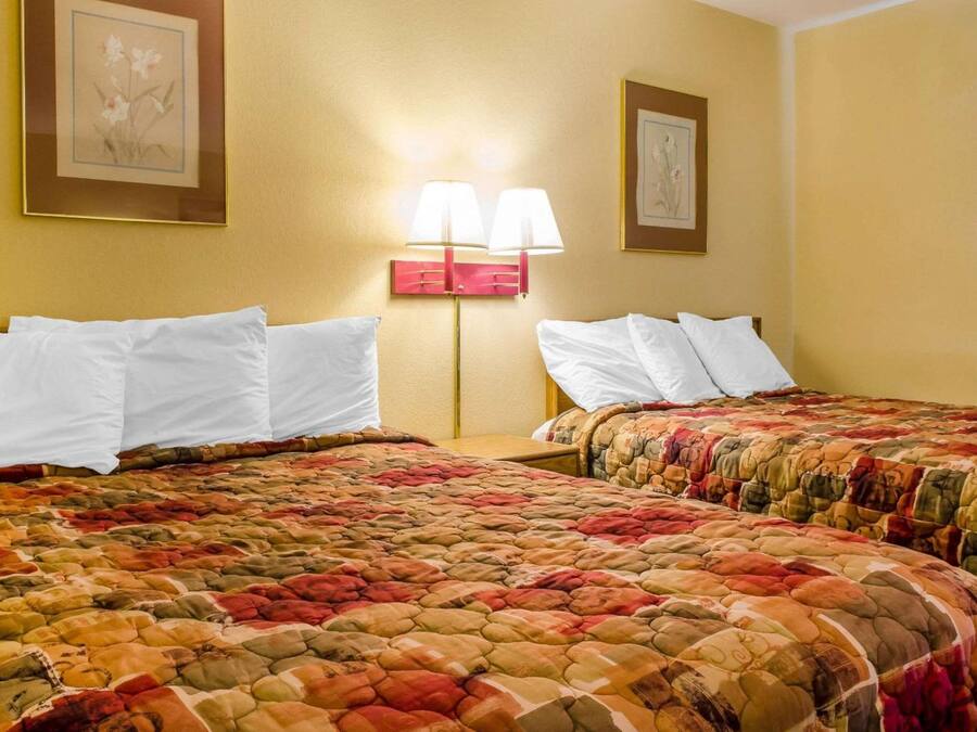 A hotel room with two beds, each with white pillows and a colorful quilted bedspread. There is a nightstand with a lamp between the beds.