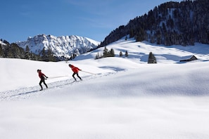 Wintersport/Ski
