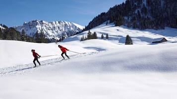 Wintersport/Ski