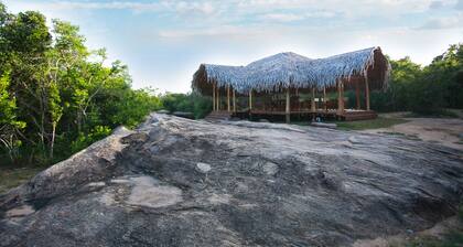 Yala safari and Relax camping