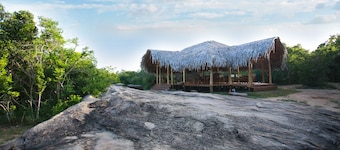 Yala safari and Relax camping