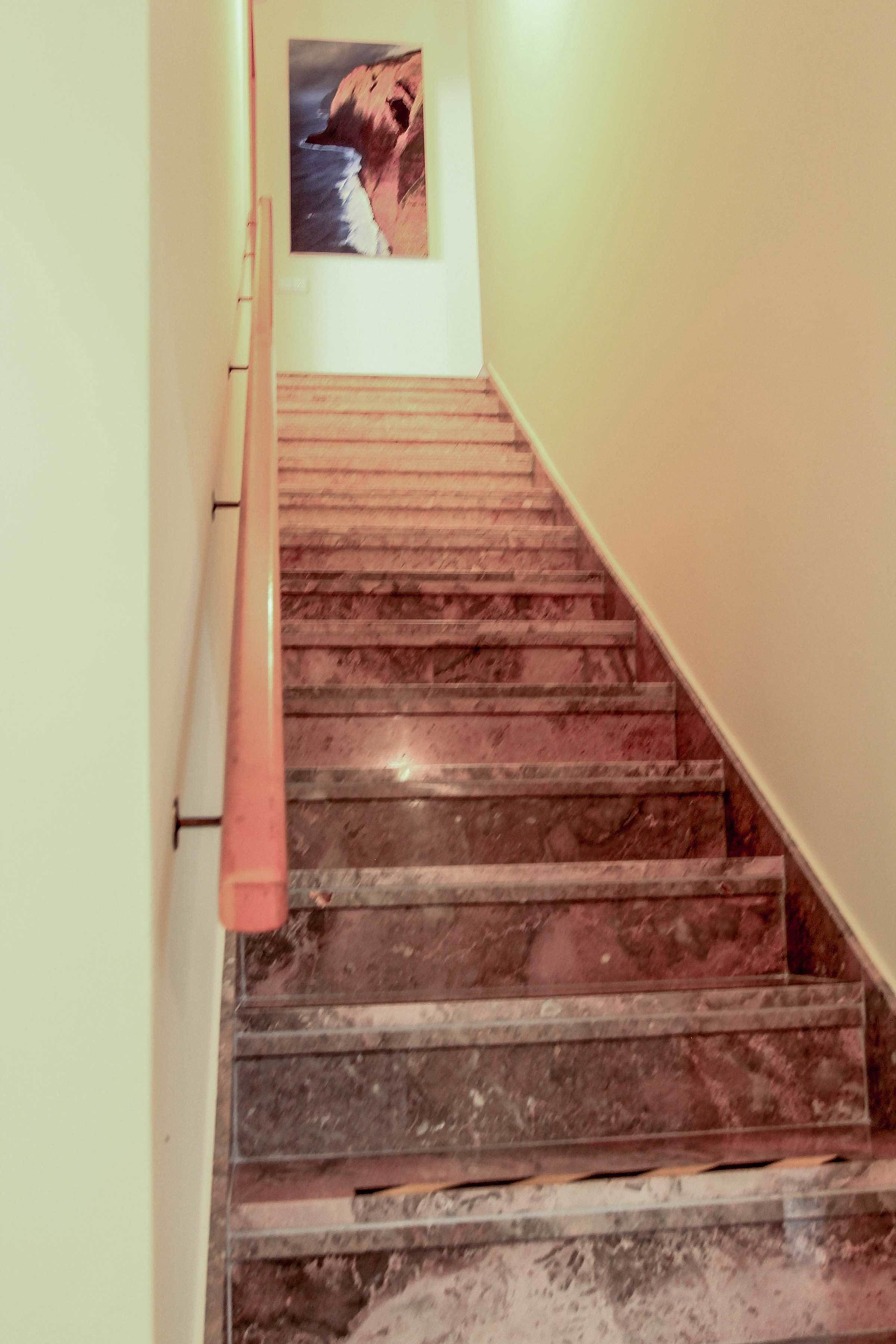 Eine Treppe mit Handlauf und einem Hundebild an der Wand.