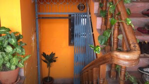 Una escalera con barandilla de madera, un portón azul y plantas en macetas.