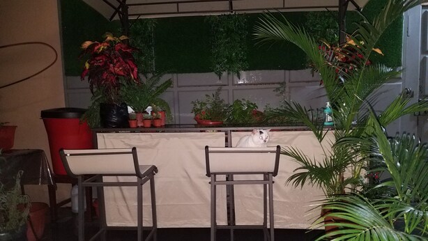 A kitchen area with a bar counter, two bar stools, and various potted plants. - Casa Serena (Guayaquil)