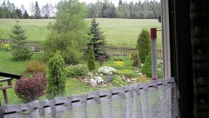 A window with lace curtains, a view of a garden with trees and a wooden fence.
