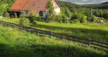 Apartment Pavla - Three Bedroom Villa, Sleeps 8