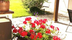 Un’area giardino con un fioriere in pietra pieno di fiori rossi, un pergolato in legno e vista su un campo verde.