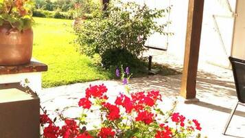 A garden area with a stone planter filled with red flowers, a wooden pergola, and a view of a green field.