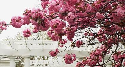 Victorian Seasons Stirling