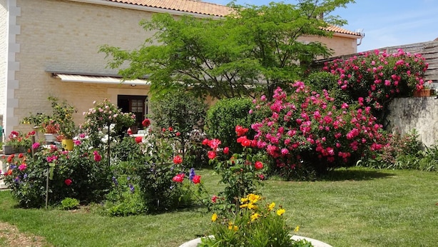 A building with a tiled roof and a garden with various flowers and plants. - Aux Orangers (Luxe)