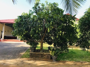 Jardim