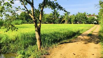 Mặt tiền nơi lưu trú