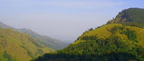 Un paisaje montañoso con vegetación exuberante y cielo despejado.