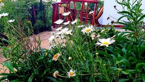 A garden with white flowers and green foliage. - Adannz view (Ella)