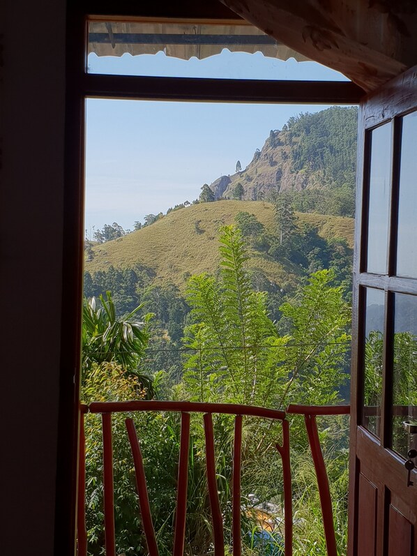 View from room - Adannz view (Ella)