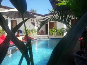 A swimming pool surrounded by potted plants and umbrellas, with a building in the background. - Cape Rose (Gili Trawangan)