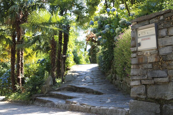 Property grounds - Casa Scerina (Bellinzona)