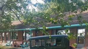 Un coche verde antiguo estacionado en un césped, con un edificio de ladrillo al fondo.